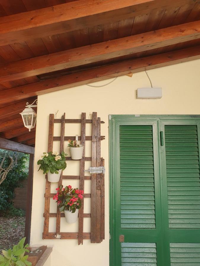 Andrea'S House Villa Fiumicino Exterior photo